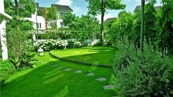 1200 ý tưởng cây cảnh sân vườn biệt thự sang trọng và độc đáo