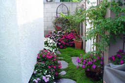 Tiểu cảnh sân vườn nhỏ - Sự lựa chọn hoàn hảo cho không gian mini của bạn