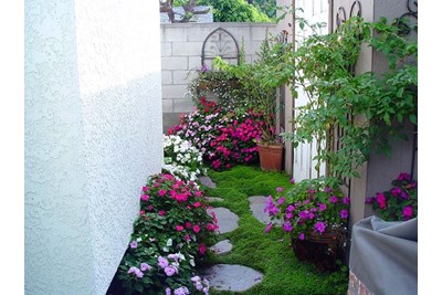 Tiểu cảnh sân vườn nhỏ - Sự lựa chọn hoàn hảo cho không gian mini của bạn